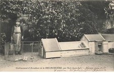 44 LA BRECHOULIERE PRES NORT #31875 HEN GLASS BREEDER