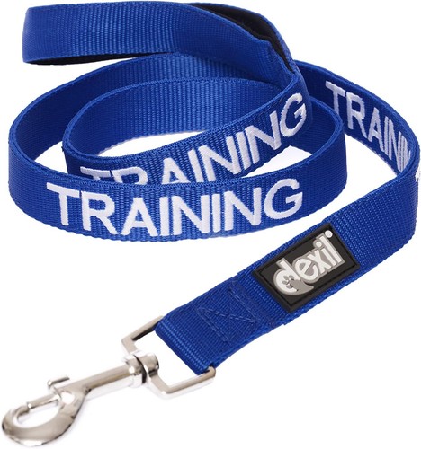 Training laisse pour chien - training,