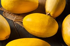 15 Graines de Courge Spaghetti