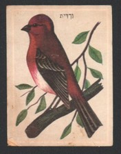 Jeu de cartes Chardonneret