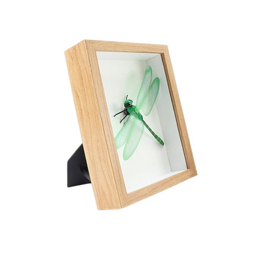 Vitrine ombre cadre - vitrine,