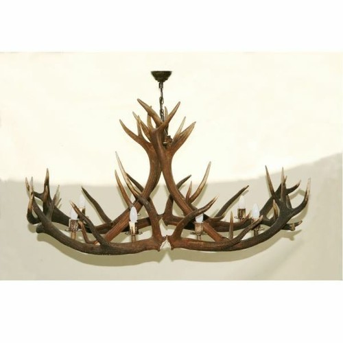 Lustre avec vrai bois cerf - lustre, de