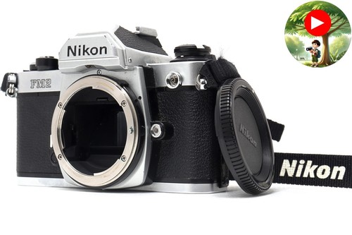 Appareil photo argentique - , 35