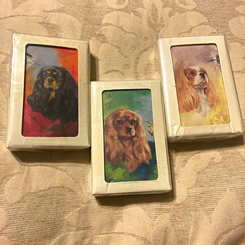 New cavalier king charles - new,