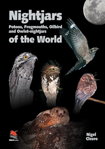 Nigel cleere nightjars - nigel,