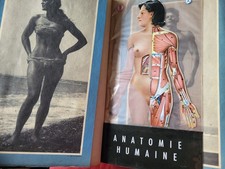 Nouveau Larousse Médical