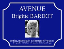 Plaque de rue "Avenue Brigitte