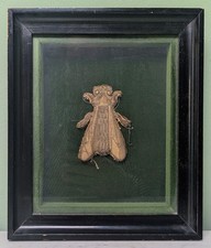 Rare abeille de parement ou de