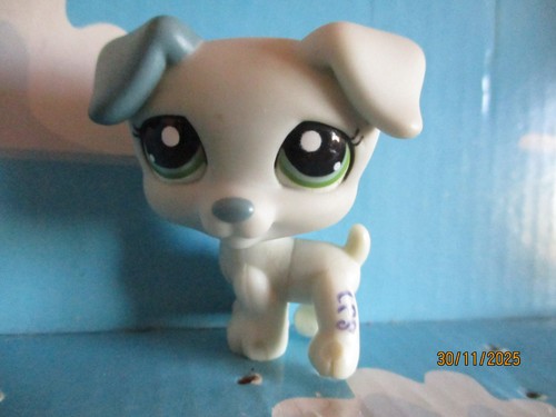 Petshop chien jack russel - chien,