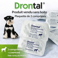 VERMIFUGE CHIEN VETOQUINOL