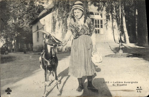 Laitière auvergnate sa - auvergnate, —