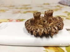 Kijang Deer Amulet - Antique and Refined Sculpture