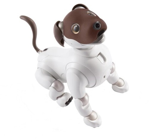 New sony aibo - aibo, cocoa