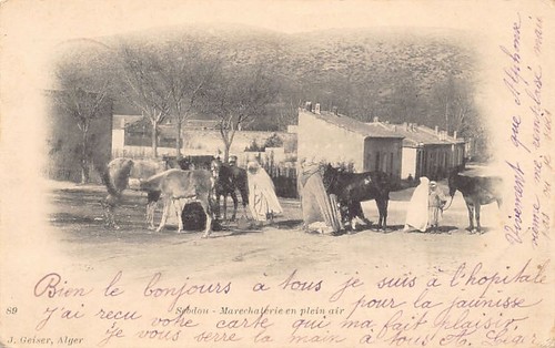 Algérie sebdou - sebdou,