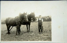 47388 AK Cheval Jeune Homme