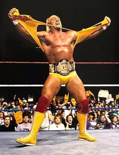 Hulk hogan catch - hulk, wwe
