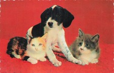 CP ROUGE BORDS DENTELES PETIT CHIEN ET PETITS CHATS - 44077