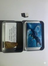 Dent de dinosaure Carcharodontosaurus saharicus (Maroc) – Fossile carnivore + il