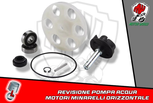Set révision pompe eau - révision,