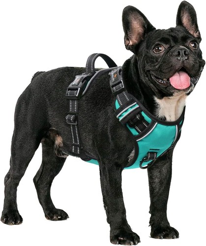 Harnais chien moyen - grand, anti