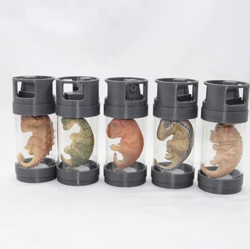 Bocaux dinosaures en - 5x,