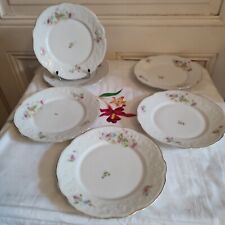 Six assiettes à dessert porcelaine décor guirlande florales et tiges fleuries