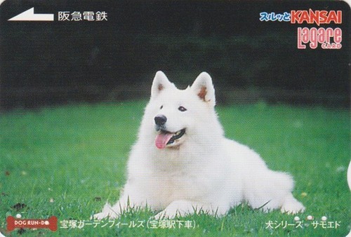 Carte japon animal chien - japon,