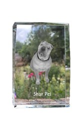 Shar Pei - Cristal Avec Einem