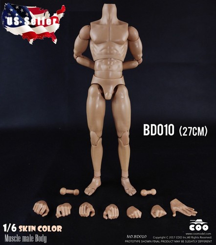Coomodel muscular male - 1/6,