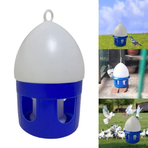 Abreuvoir pour pigeons - abreuvoir,