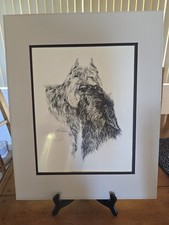 Vintage Limited Edition Bouvier Des Flandres Signed Print By Lyn St. Clair Stubb