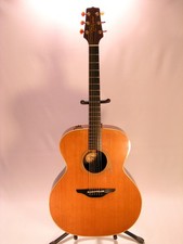 Takamine Super Jumbo