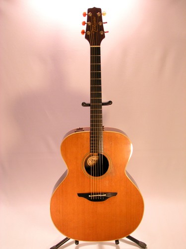 Takamine super jumbo - takamine,