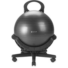 Gaiam Ultimate Balance Ball