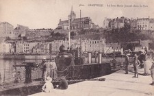 🦬Carte Postale / Postcard /