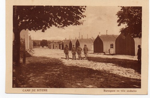 Camp bitche baraque en - bitche,