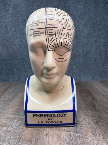 Fowler phrenology head - l.n.,