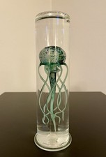 Méduse globe bocal coquillage sulfure taxidermie sculpture cabinet de curiosité