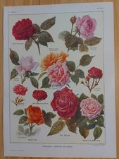 Planche du Larousse Agricole