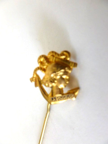 Insigne boutonnière marine - insigne,