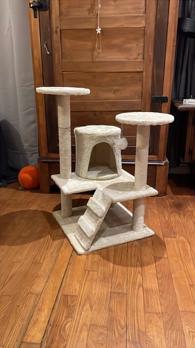 Grand arbre chat avec trois - arbre,