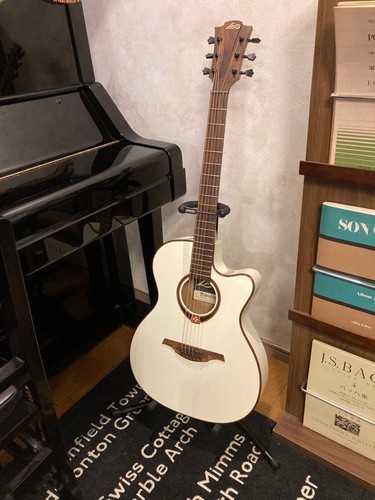 Guitare acoustique électrique