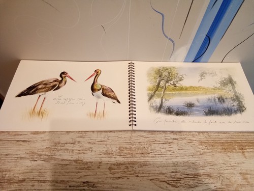 Carnets aquarelles - carnets, d'aquarelles