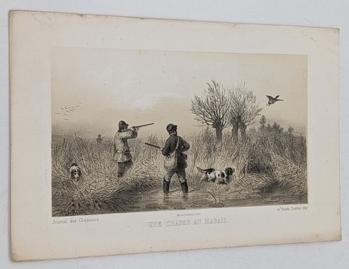 Gravure chasse chiens une - chasse,