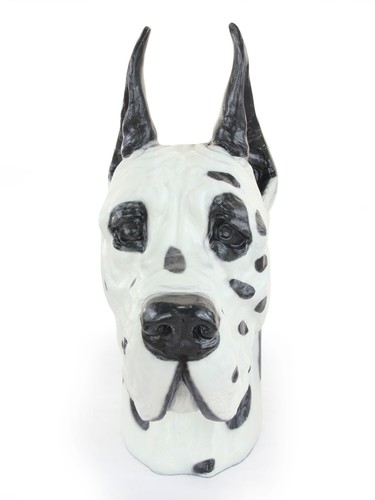 Dogue allemand harzurne - allemand,