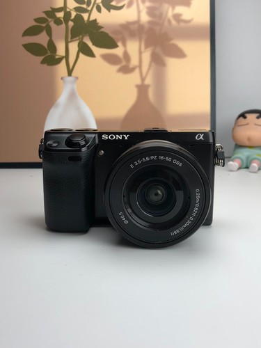 Sony nex mirrorless camera - sony,