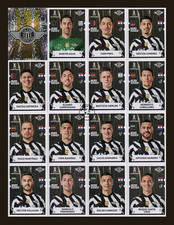 Club Libertad Team Panini CONMEBOL Copa Libertadores 2024 Stickers