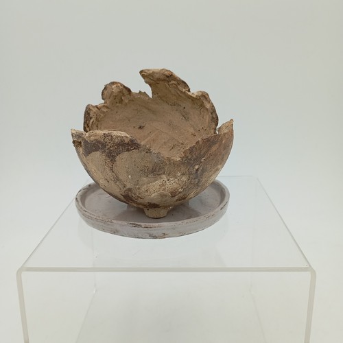 Pot bonsaï artisanal - bonsaï,