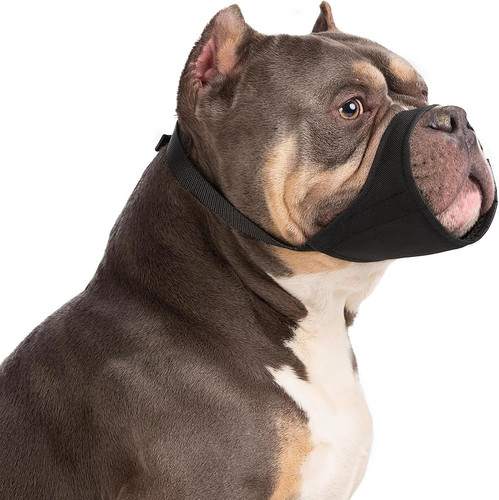 Muselière pour chien - chien, de