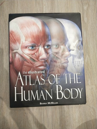 Atlas the human - of,